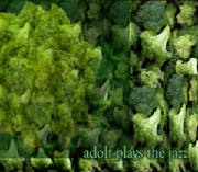 greencover.jpg